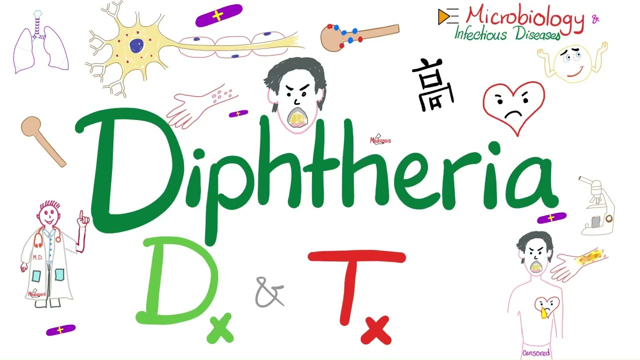 Corynebacterium diphtheriae Diagnosis and Treatment | Microbiology 🧫 - YouTube