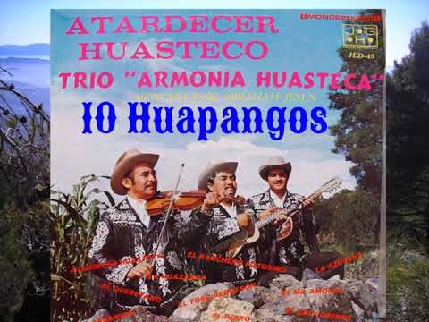 TRÍO ARMONÍA HUASTECA🎻(LOS REYES DE LA MÚSICA HUASTECA)