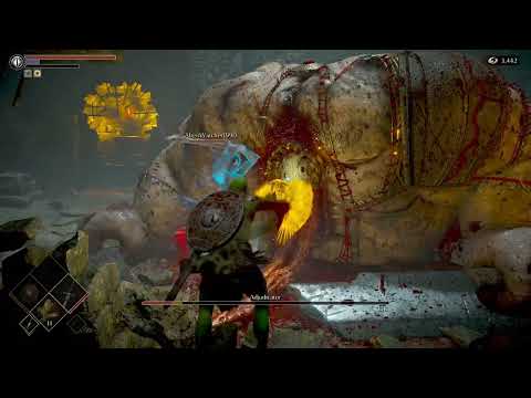 SHULKAMANIA VS Adjudicator