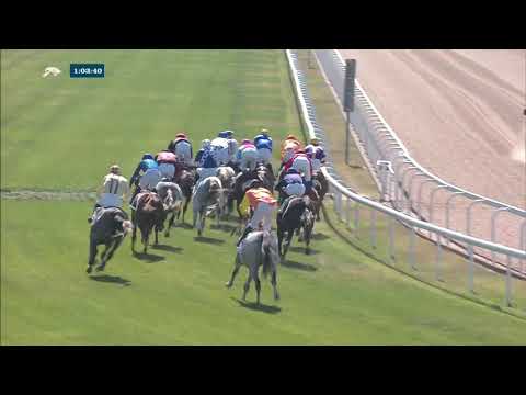 14th Al Uqda meeting - RACE 1