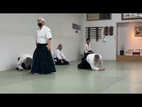 YAMADA SENSEI Morotetori Iriminage