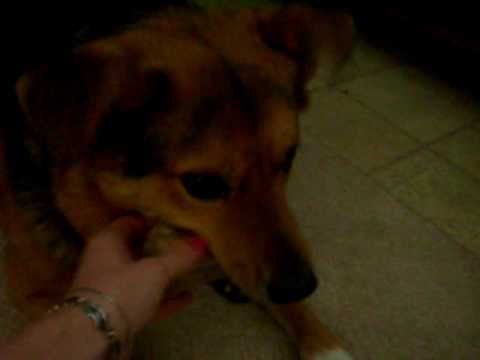 Rakiya - Video 001 - January 2006