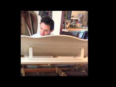 Home Video 2013 - The Dahan Family in LOS ANGELES