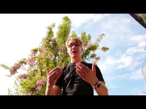 Huawei MEDIA MIST! - DRM LIZENZ PROBLEME! - Versuch der Aufklärung oder Fehlerbehebung ... ???