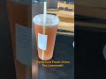 Iced Peach Green Tea Lemonade Starbucks