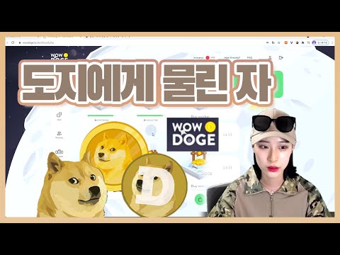 코인 채굴기 사기당했습니다