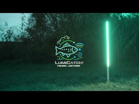 Fish Sense video thumbnail