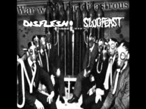 Disflesh - Blessed Are The Guns
