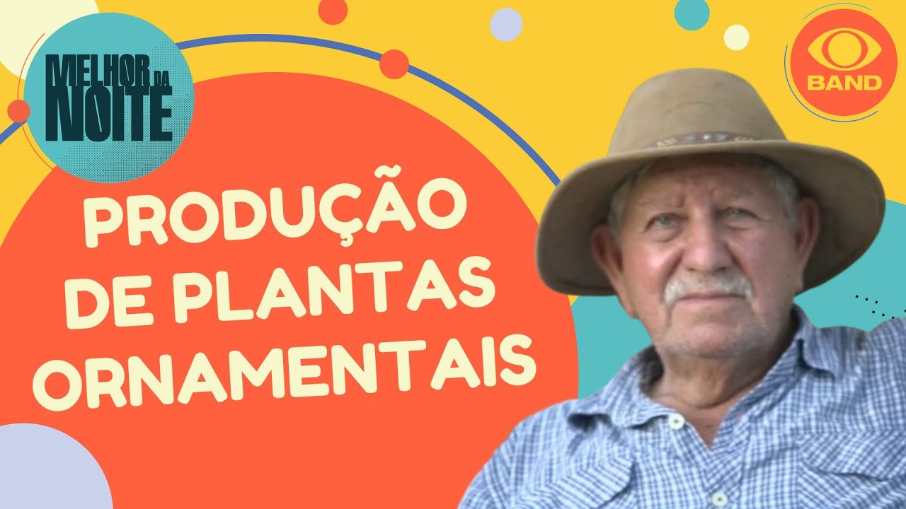 Veja como é a  produção de plantas ornamentais no 'Tá no campo, tá na mesa'