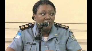 CPI das Armas - Autoridades do Estado-Maior da PM