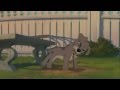 Lady And The Tramp 2 World Without Fences Italian Reverse Scene