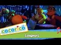 Cocoricó Sonhos