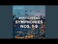 Symphony No. 5 in C Minor, Op. 67: III. Allegro