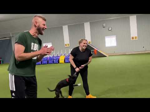 5-Alive- Zeljko Gora Seminar - March 2023