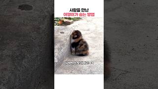 아깽이가 감쪽같이 숨는 법 ㅎㅎ