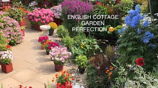 English Cottage Garden Bursting with Summer Colour & Life. Slow Tour. Koi Pond. Stunning. Perfection