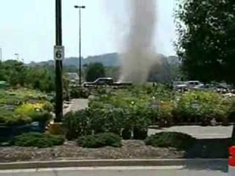 Dust Devil by The Insect Explosion