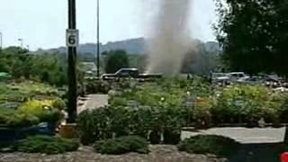 Dust Devil by The Insect Explosion