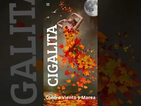 Contra Viento y Marea