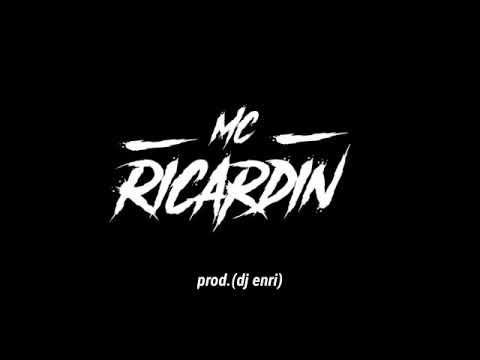 MC RICARDIN - MEGA DE CARNAVAL (DJ ENRI)