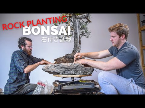 Epic Pine Bonsai Rock Planting | In the Workshop, Ep. 9