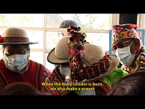 El cielo otra vez, de Gustavo Alonso - Trailer