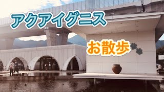 【三重県】アクアイグニスは人気スポット 温泉 パン スイーツそしてカブトムシ！さらに！チョコレートでできた、、、