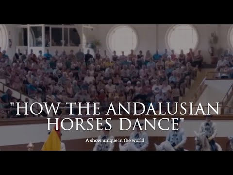 How the Andalusian horses dance