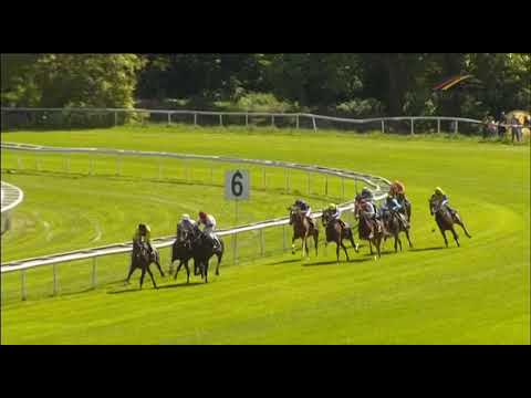 Preis der Freunde - Filly (D) Koeln maiden