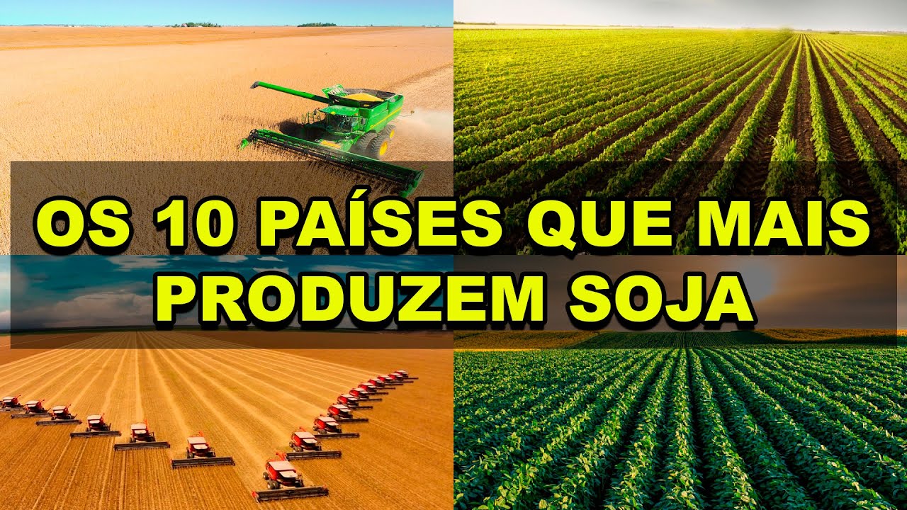 Os 10 maiores produtores de soja do mundo