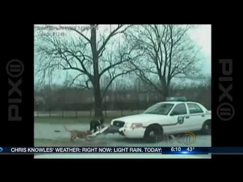 PIX Morning News - Dog attacks police car