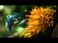 Owl City - How Deep the Father's Love for Us ...