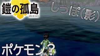 【ポケモン剣盾】追加されたポケモン達観察してみた！【ポケットモンスターソード、シールド、エキスパンション】
