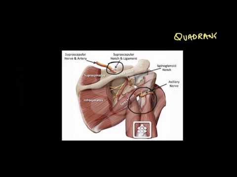 Shoulder Block: Part 1 of 3