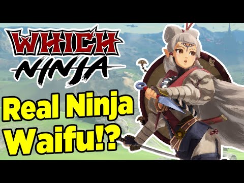 How "Ninja" is Young Impa from Zelda, Age of Calamity? (Which Ninja)