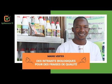 Mains Vertes Fraises