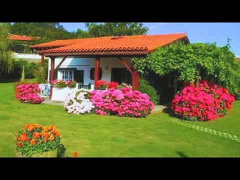 76 GARDEN IDEAS for Your HOME | Easy Landscaping
