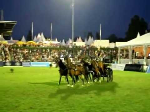 Verden 04-08-2012 Internationales Dressur- und Springfestival