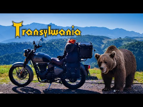 Transylwania - Zamki Drakuli i niedźwiedzie na Transfogaraskiej
