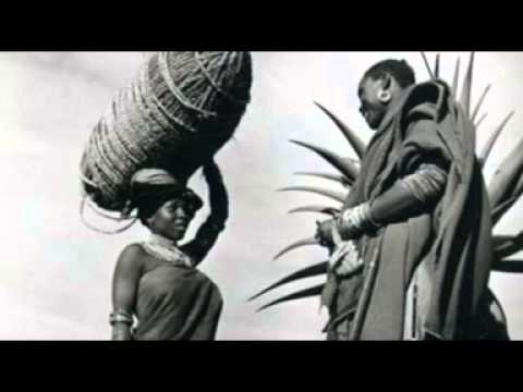 【1545】 African - Inobembela Njiba - Black Umfolosi