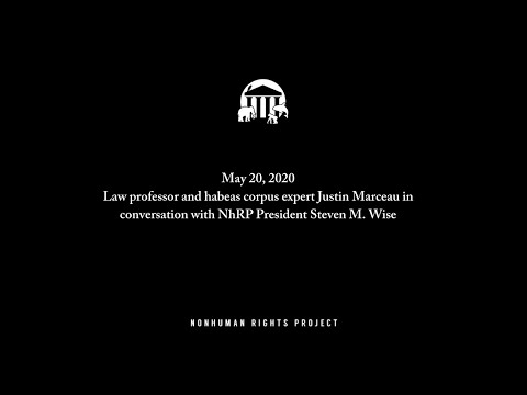 Habeas corpus expert Justin Marceau in conversation with the Nonhuman Rights Project