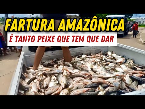 VIDA REAL NO INTERIOR DO AMAZONAS, RIBEIRINHOS DA AMAZÔNIA / UARINI - AM 