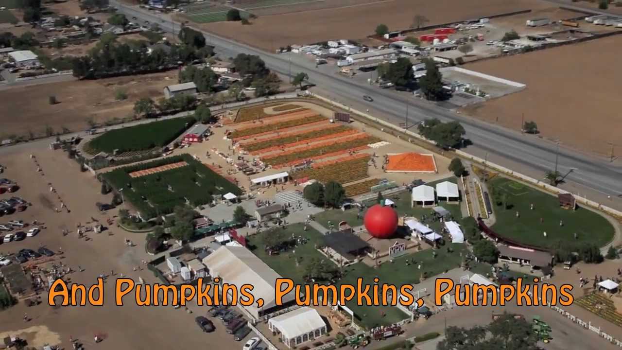 pumpkin patch in gilroy ca Jumpin jax pumpkin patch by bounce squad in gilroy, ca alignable.