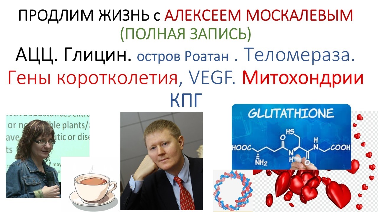 С Алексеем Москалевым: Продление Жизни - ПОДРОБНЫЙ РАЗБОР