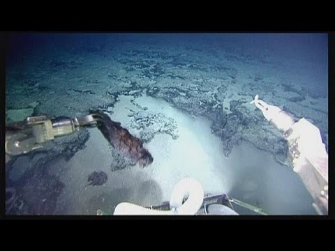 ¿Apareció el continente perdido? - science