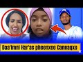 Daa Imni Abbaa Caalii Pheenxee Kokkee Qabde