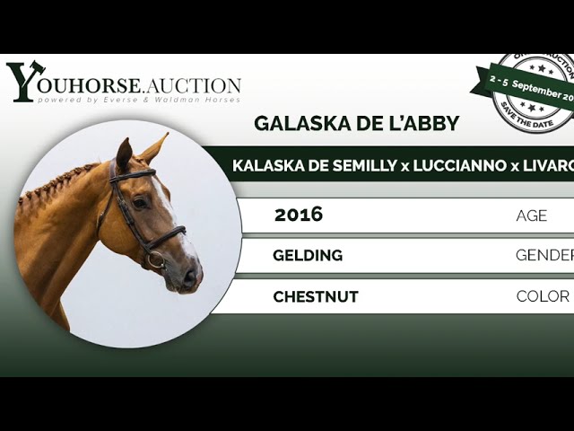 Galaska @ training