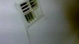 Phonecam - the storm ceiling