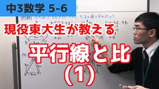 サンプル動画