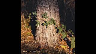Indigo - All The Animals video